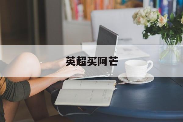 英超买阿芒,阿曼英超门将