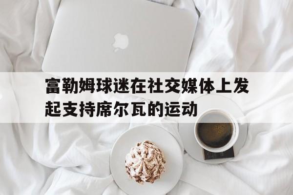富勒姆球迷在社交媒体上发起支持席尔瓦的运动的简单介绍